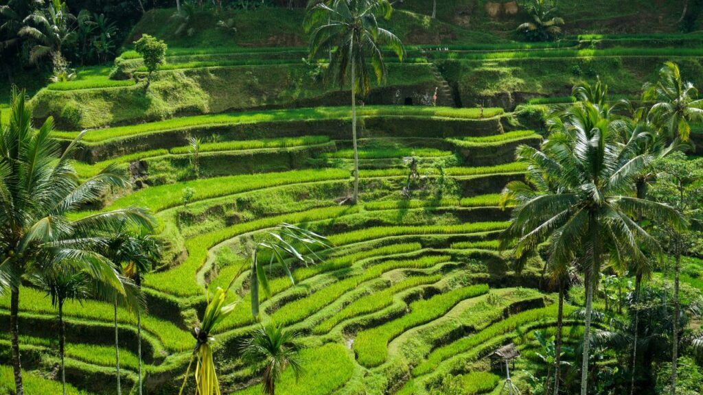 destinasi wisata (1)